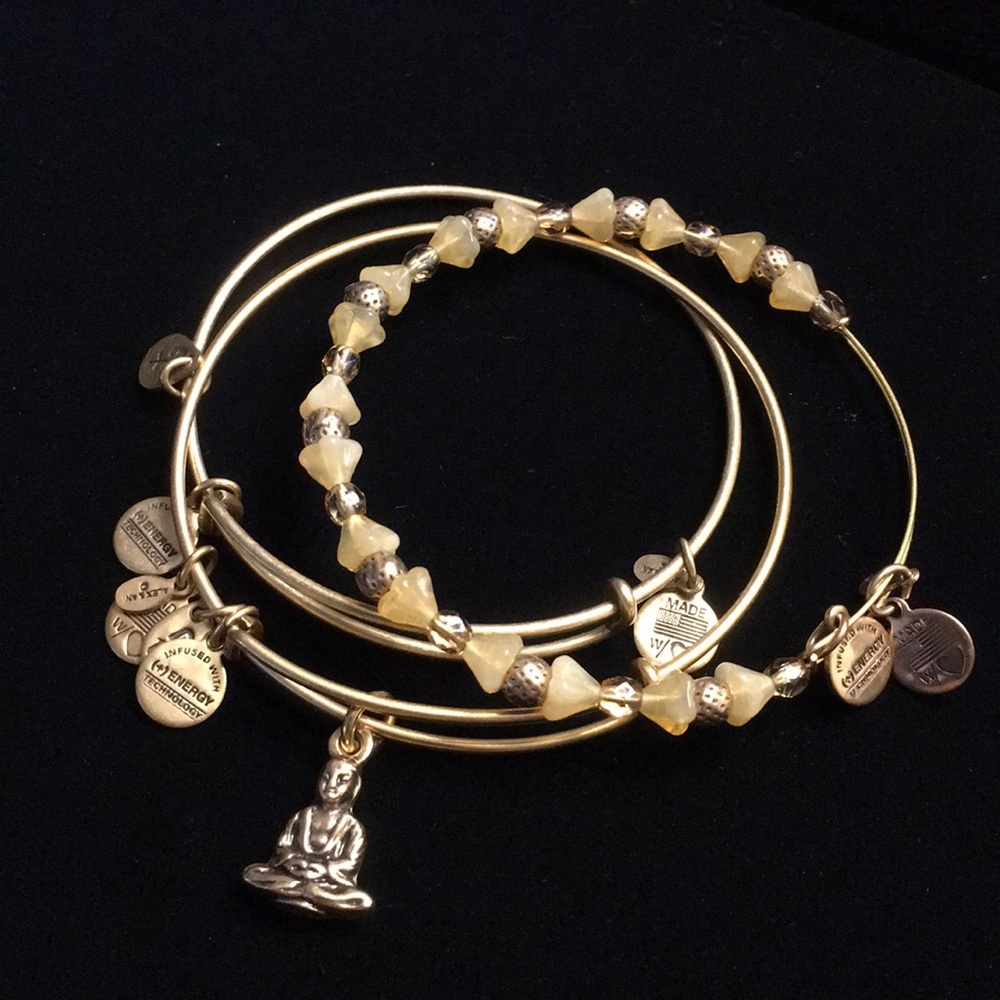 Set of Alex&Ani bangles