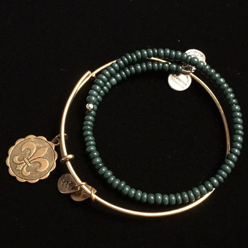 Set of 2 Alex&Ani bangles
