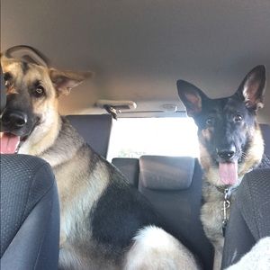 Meet your Posher, Yvette