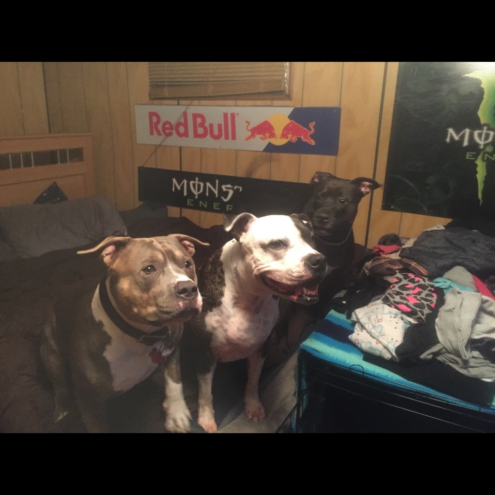 Meet your Posher, Kimberly