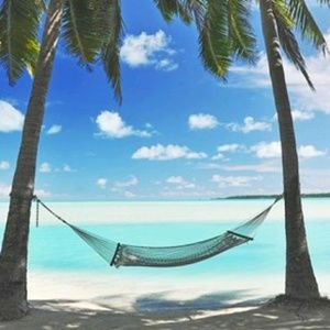 Meet your Posher, Bryce