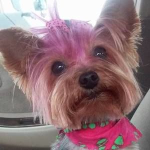 Meet your Posher, Michelle