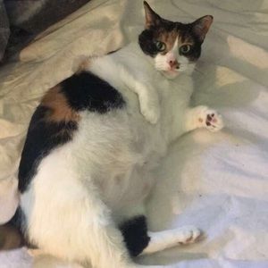 Meet your Posher, Rhyan