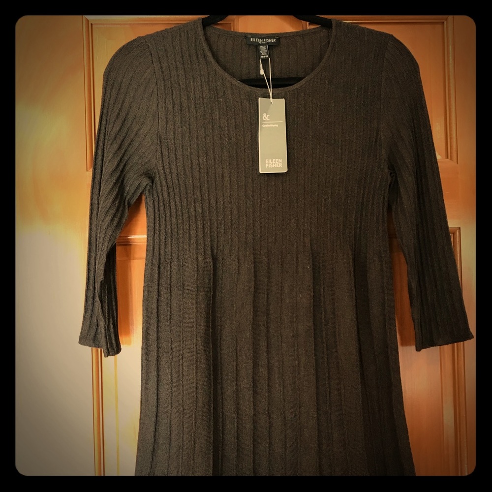 NWT Eileen Fisher Dress