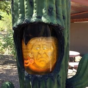 Meet your Posher, Joan