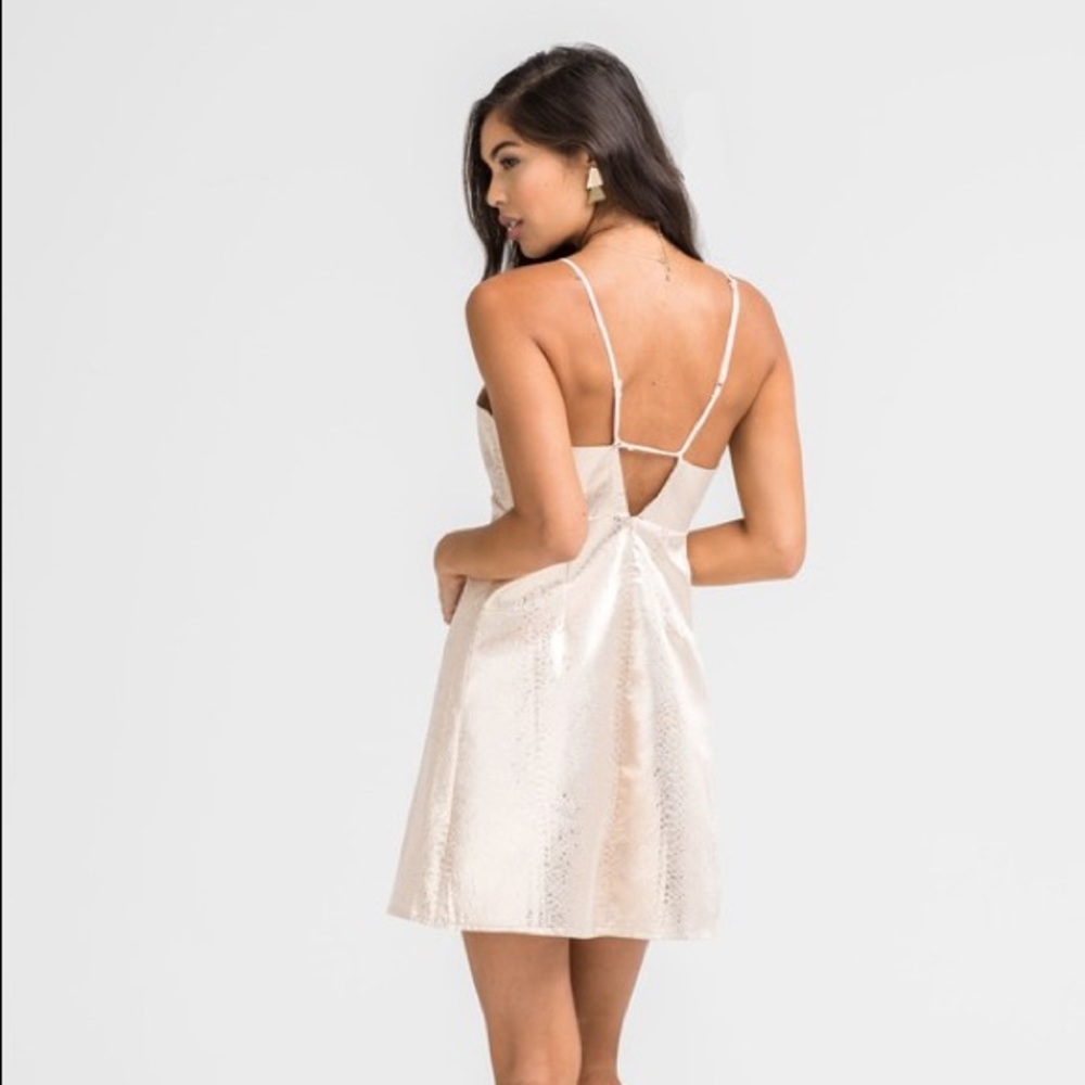 The perfect Holiday Dress!
