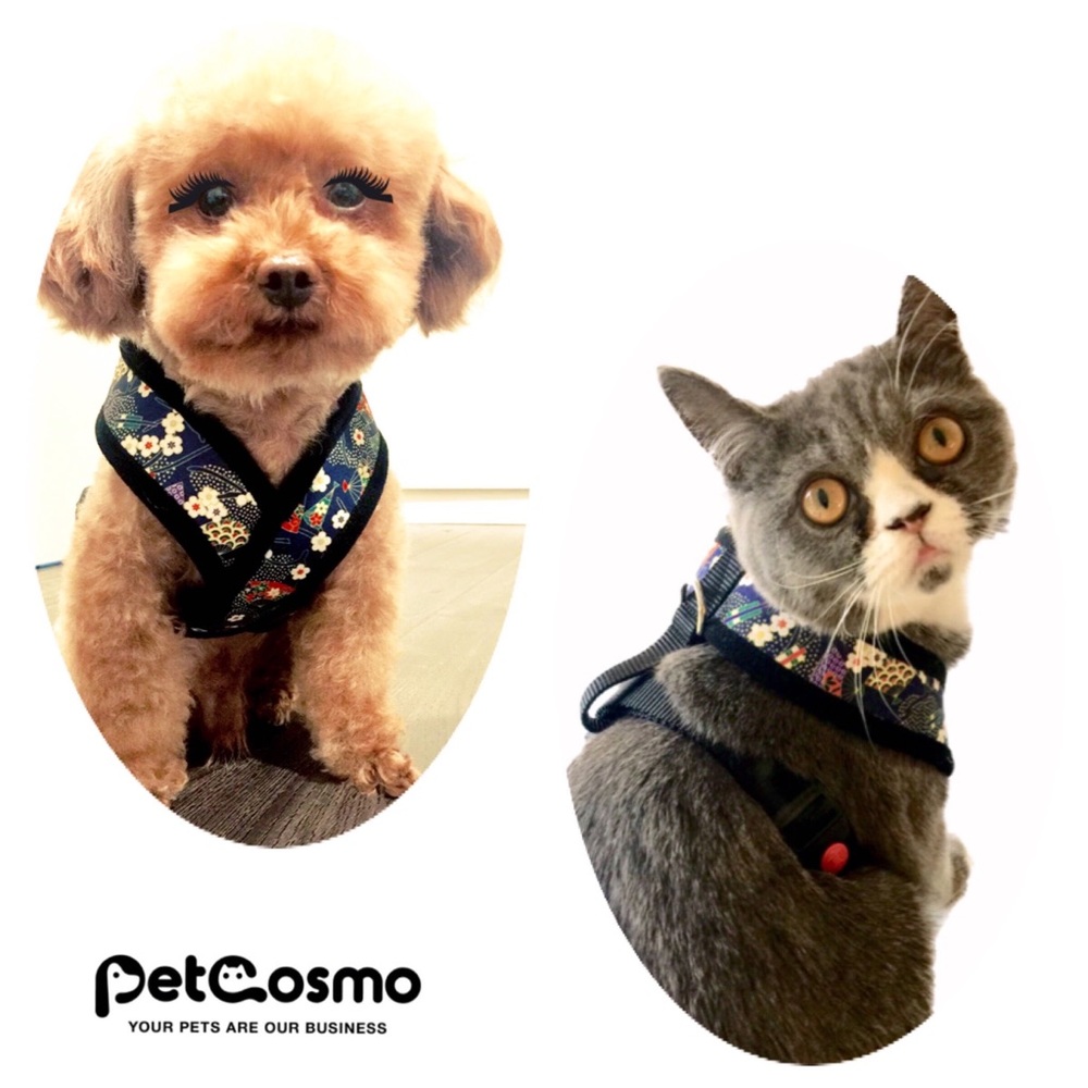 Kimono Neoprene - X Guard Harness