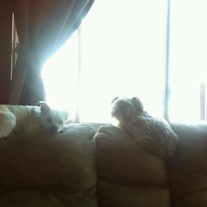 Meet your Posher, Kathy