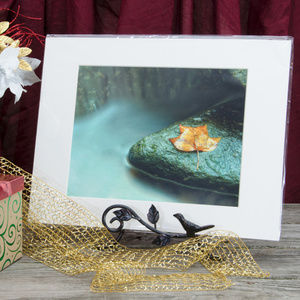 11" x 14" Nature Photo Misty Leaf