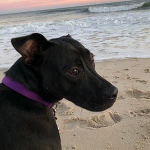 Meet your Posher, Jack