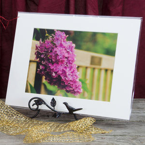 11" x 14" Nature Photo Park Bench with Lilac