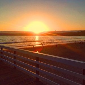 Meet your Posher, Isabel