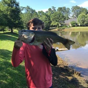 Meet your Posher, Brayden