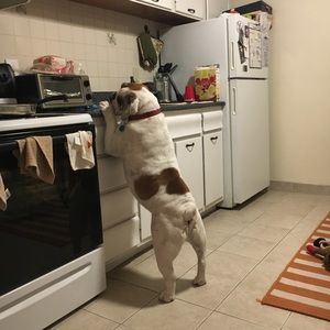 Meet your Posher, Christa