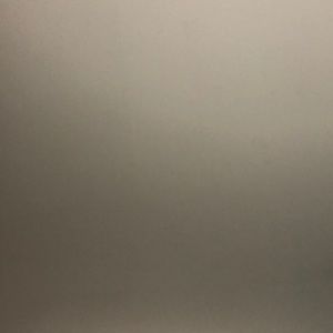 Meet your Posher, Dylan