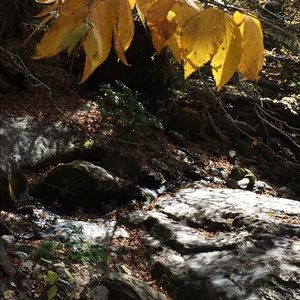 Meet your Posher, Molly