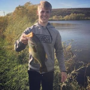 Meet your Posher, Logan