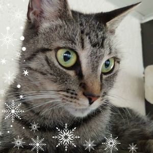 Meet your Posher, Doris