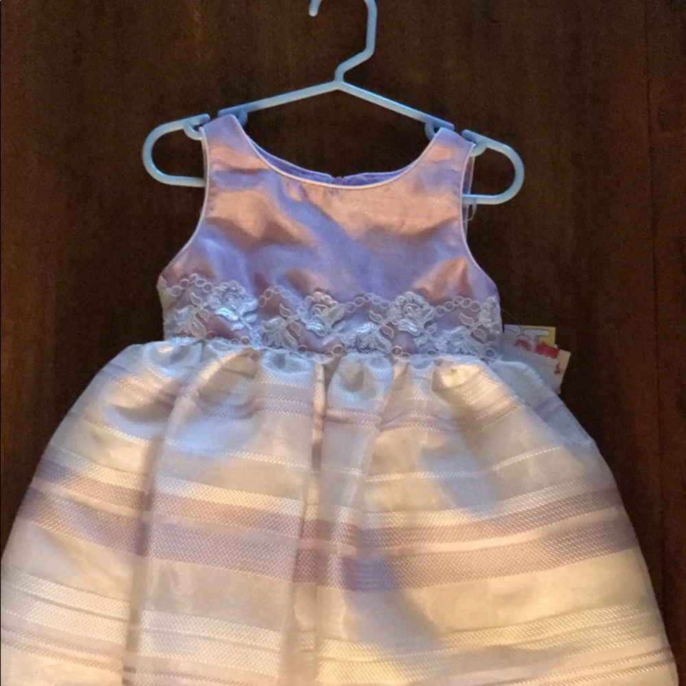 Sweet Heart Rose Baby Girl Dress