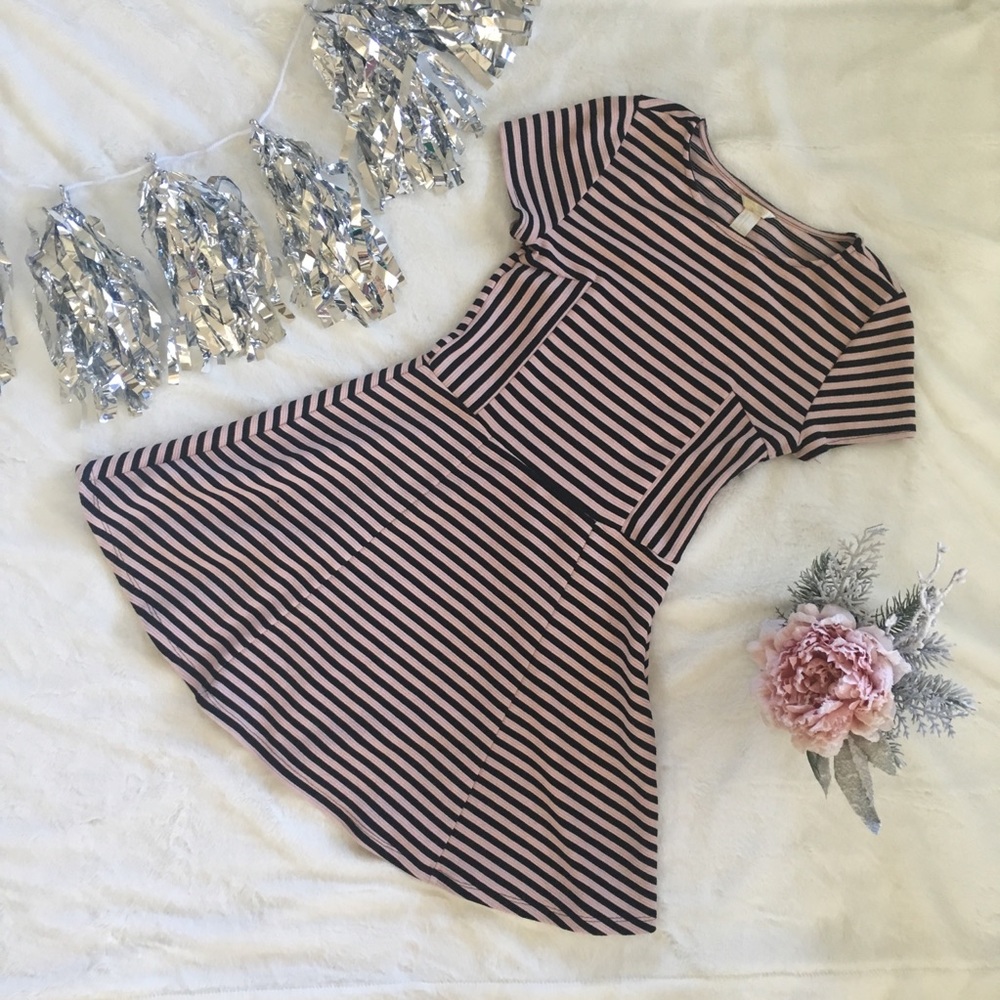 F21 • Skater Dress • Pink & Black Striped