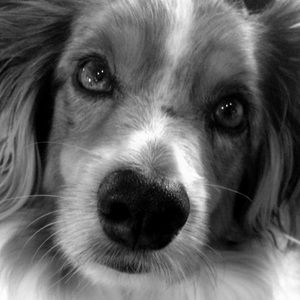 Meet your Posher, Maddie