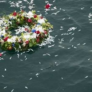 Meet your Posher, Annette