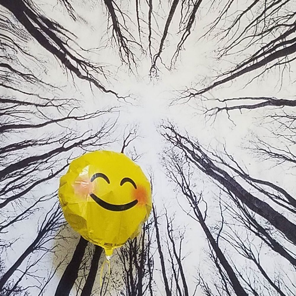 Meet your Posher, Kristin