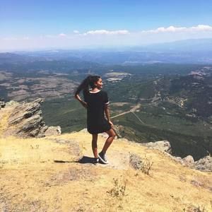 Meet your Posher, Priscilla