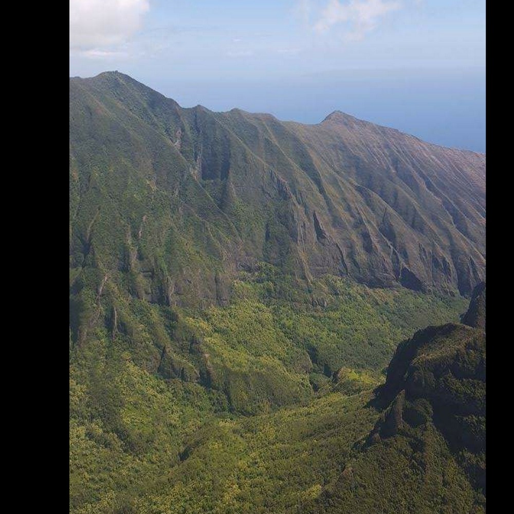 Meet your Posher, Natalia