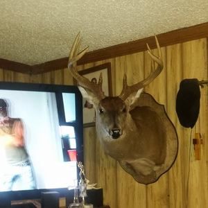 Meet your Posher, Frederick