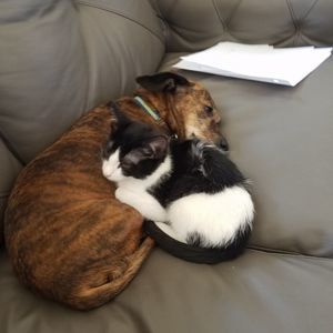 Meet your Posher, Ashleigh