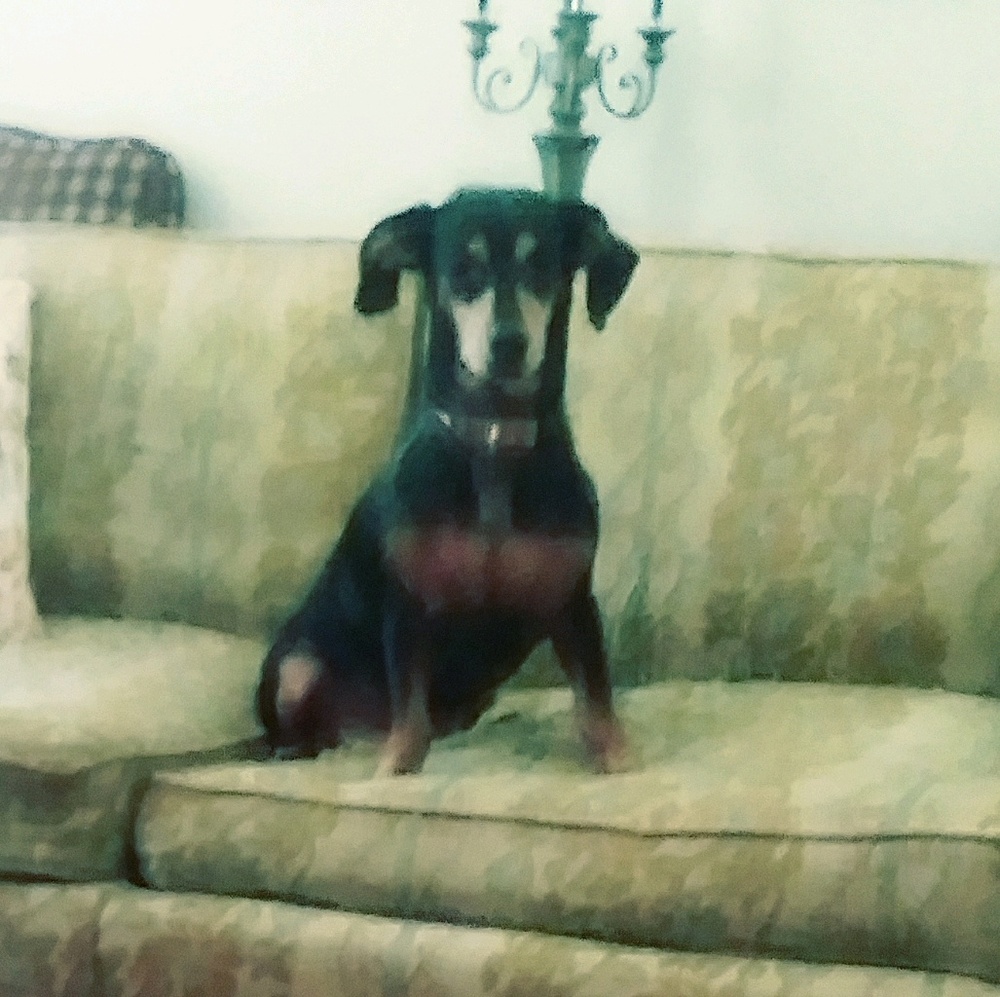 Meet your Posher, Jon