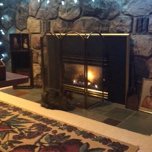 Meet your Posher, Heidi