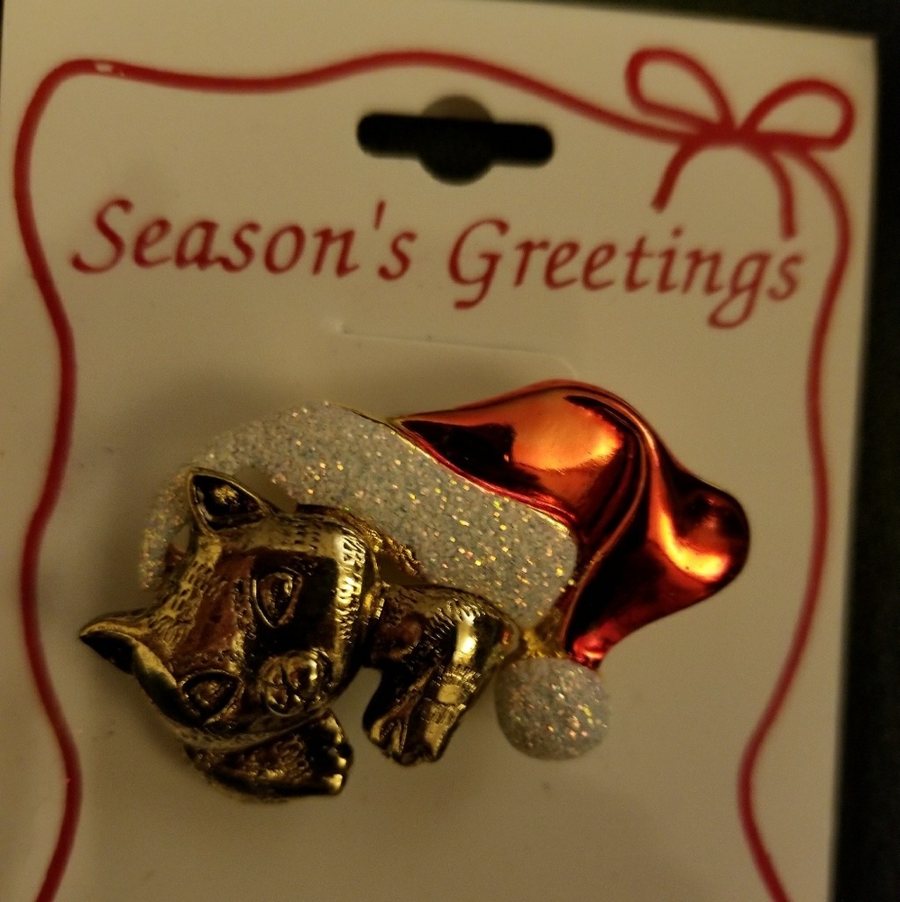 Christmas pin with cat