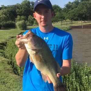 Meet your Posher, Cooper