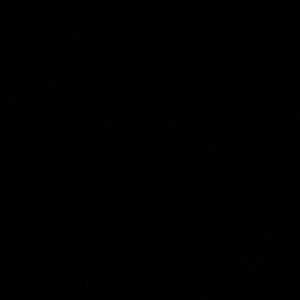 Meet your Posher, Raven