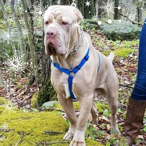 Meet your Posher, Day lighter