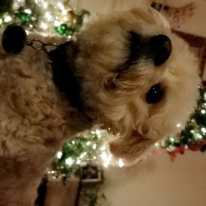 Meet your Posher, Trinity