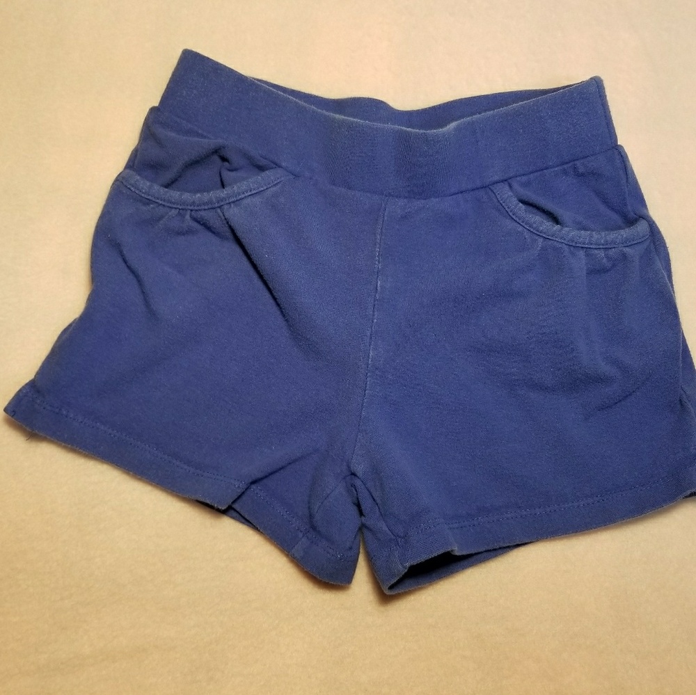 Gymboree Purple Shorts
