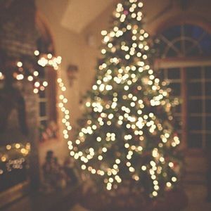 Meet your Posher, Paige