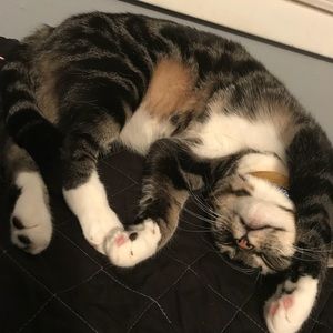 Meet your Posher, Mara