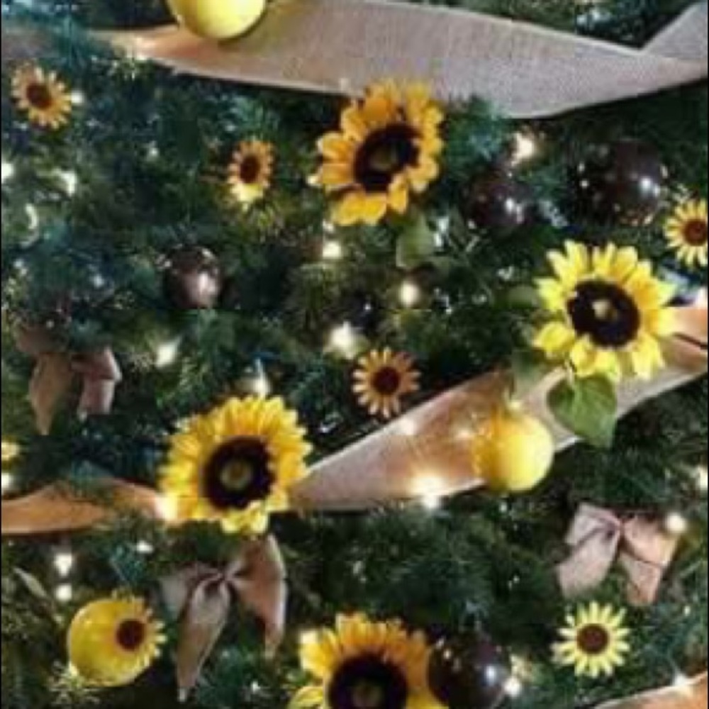 Meet your Posher, Theresa