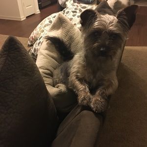 Meet your Posher, Meghan