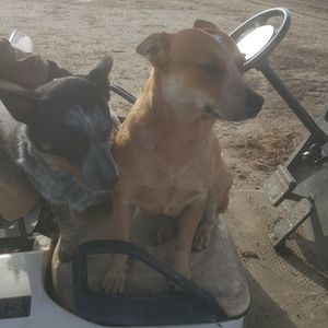 Meet your Posher, Joyce ann