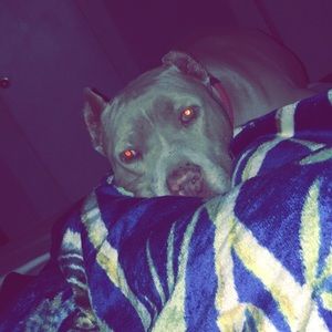 Meet your Posher, Brissa