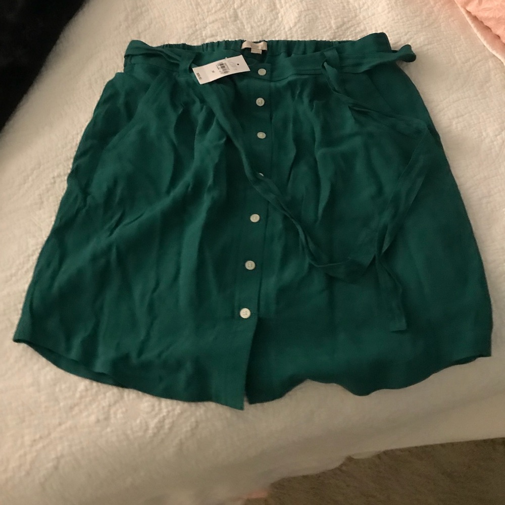Ann Taylor LOFT, green skirt, NWT sz M