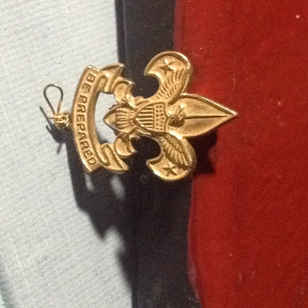 Vintage Boy Scout of America pin