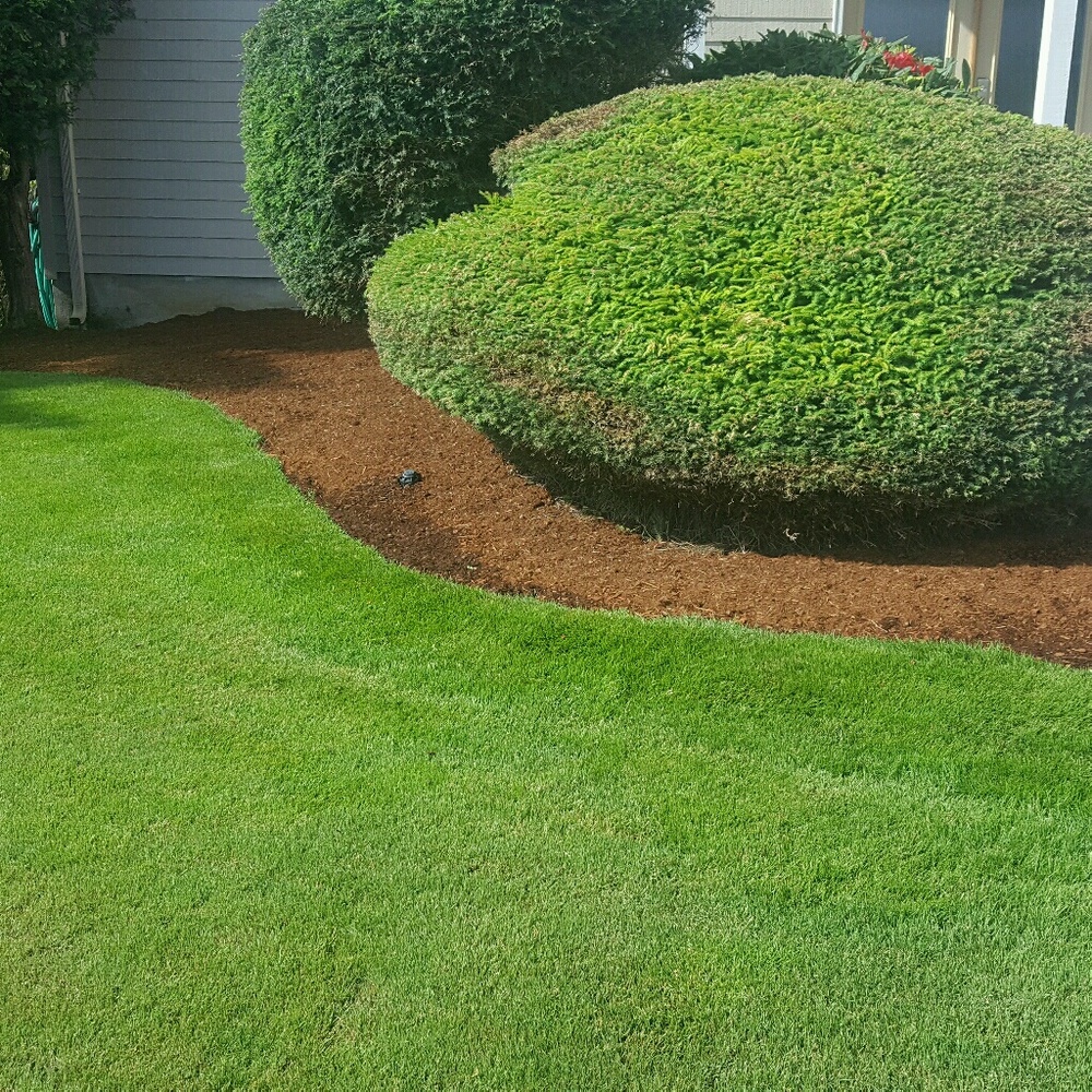 Meet your Posher, Victoriya