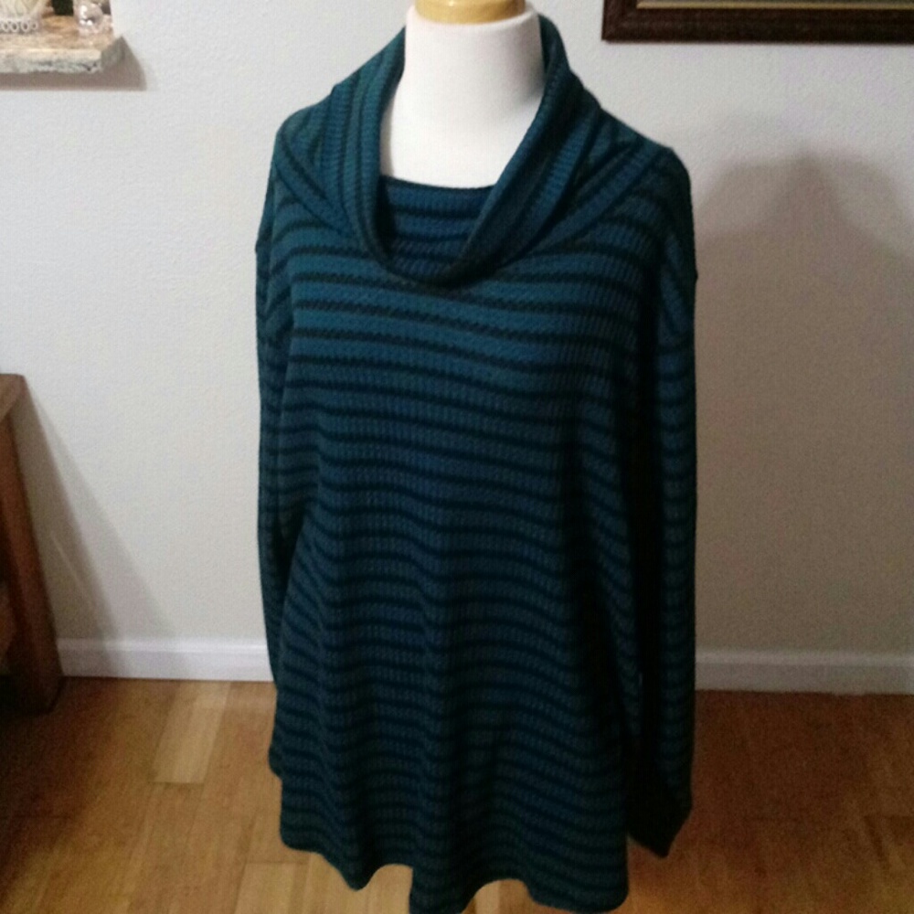 Westbound turtle neck sweater
