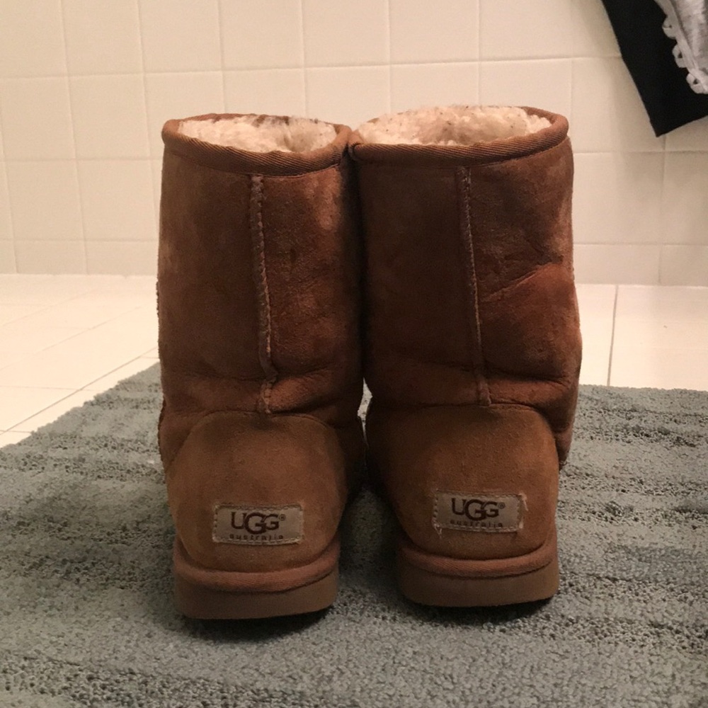 Chestnut Uggs